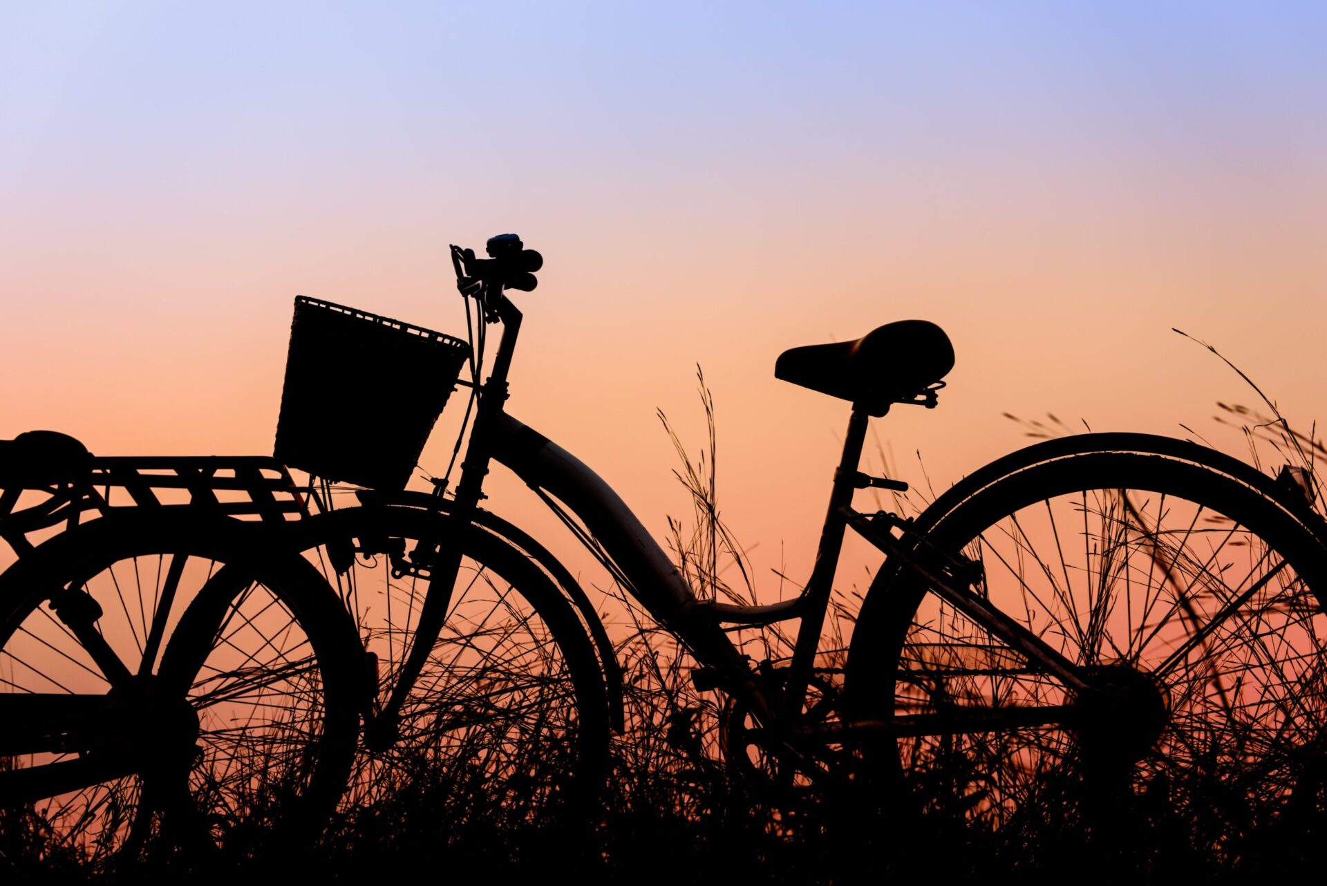 Special offers for your santa ynez valley getaway